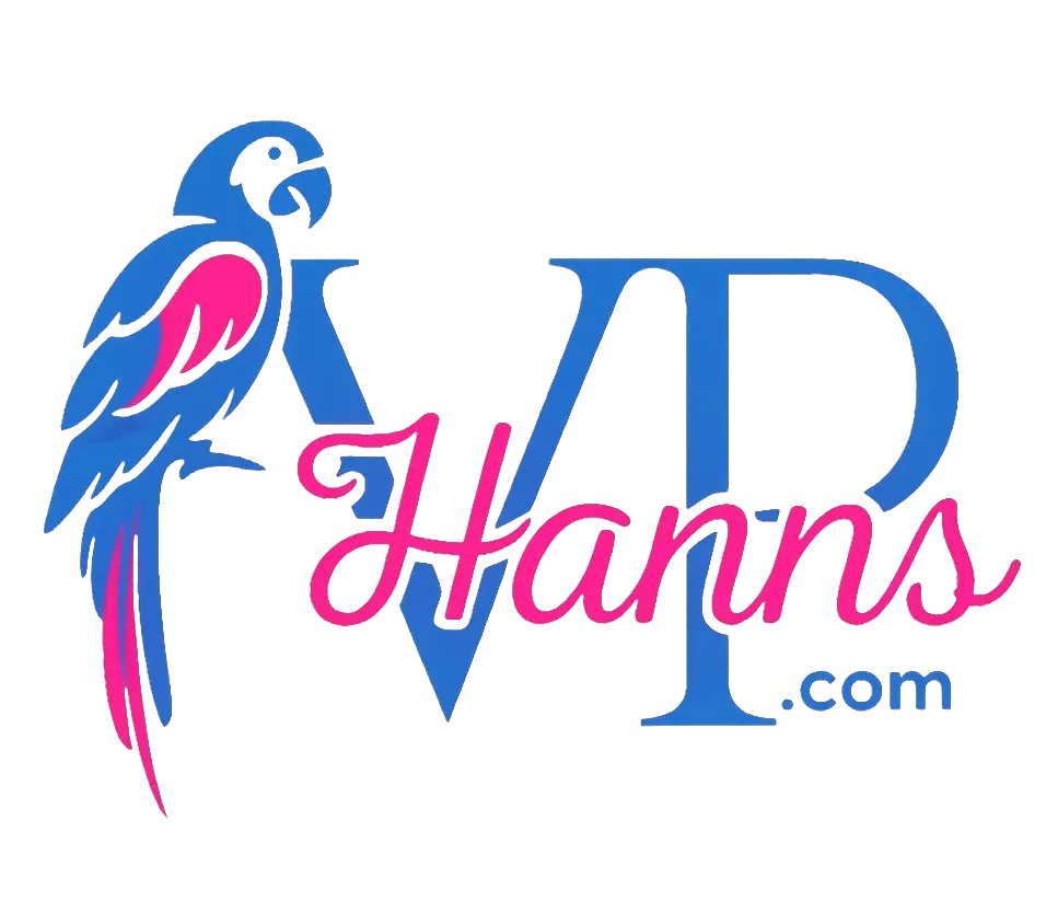 hannsvp.com